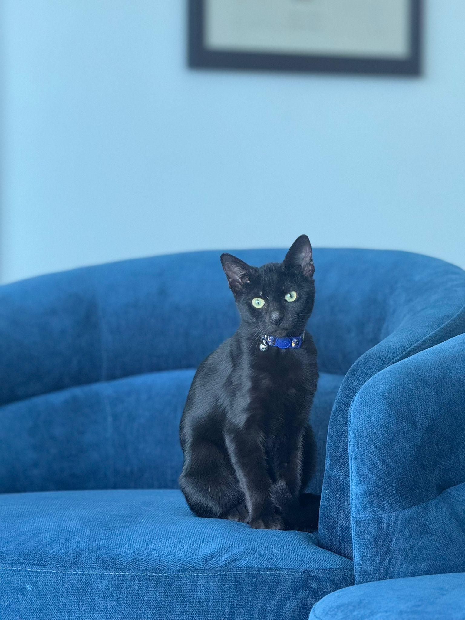 Astro