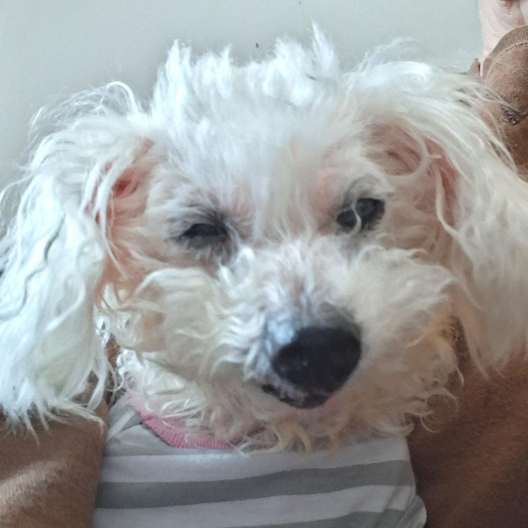 Mimi GC — thumbnail 2