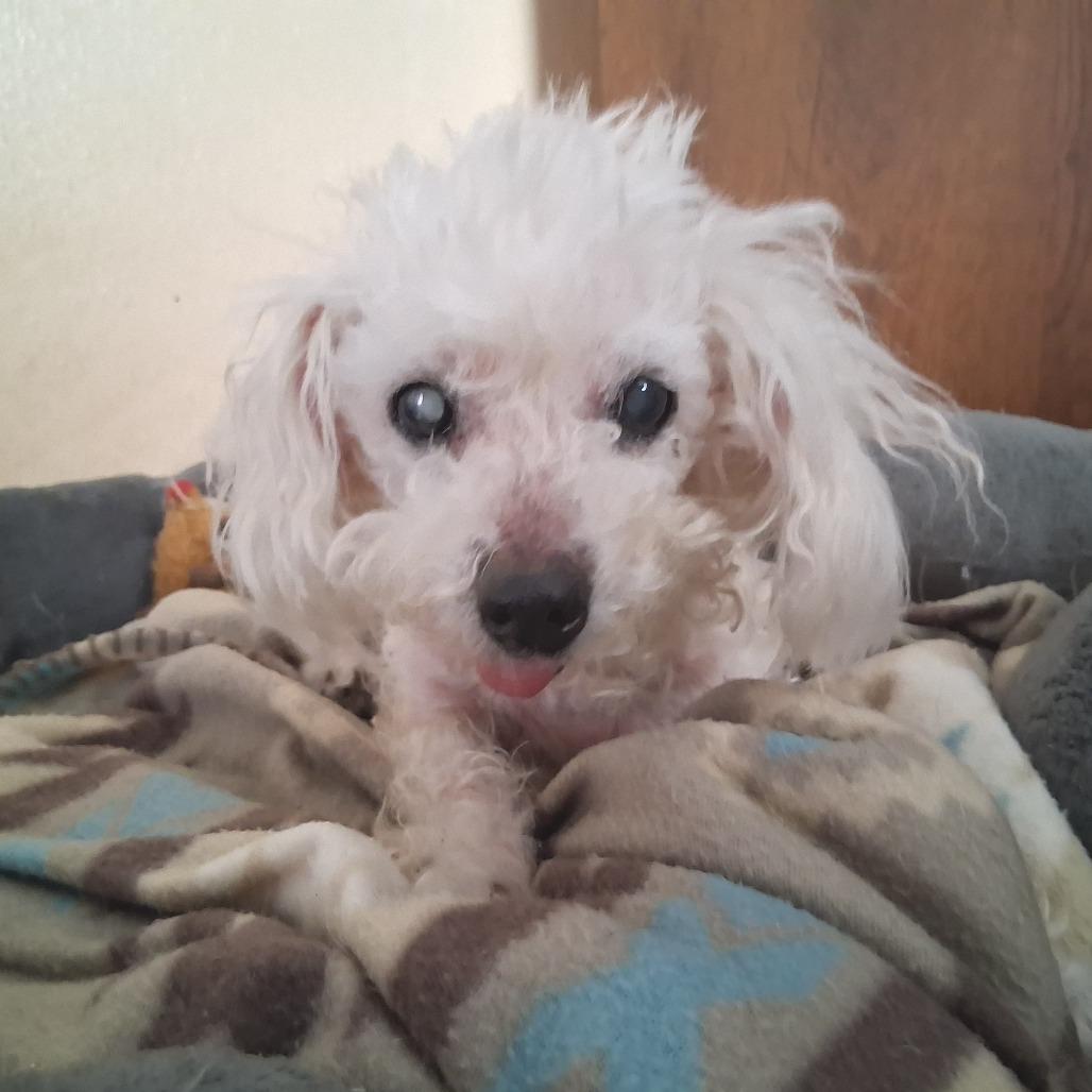 Mimi GC — thumbnail 4