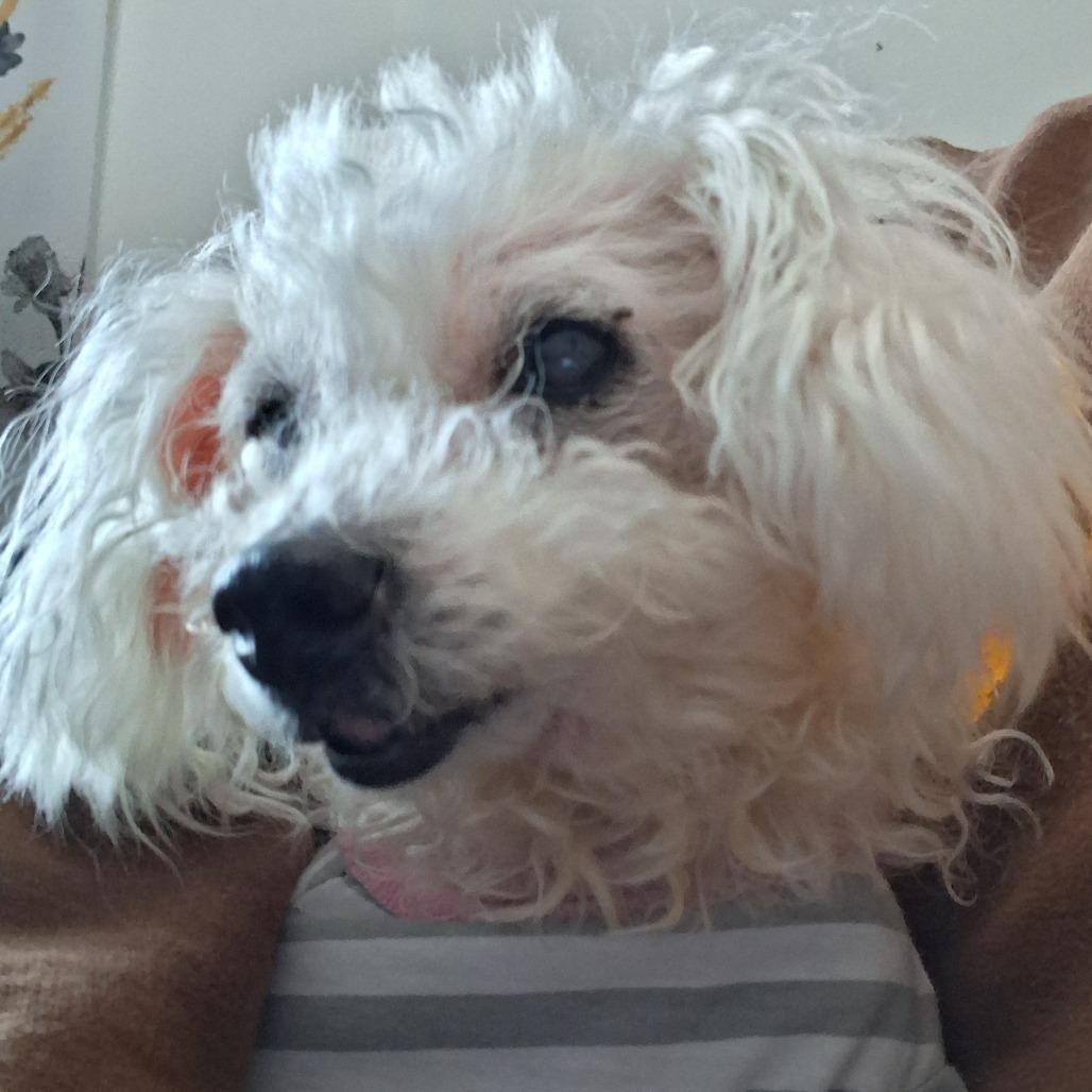 Mimi GC — thumbnail 5