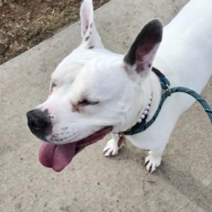 Rosie — thumbnail 2