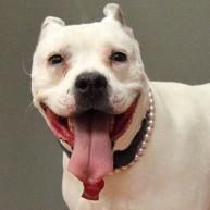 Rosie — thumbnail 3