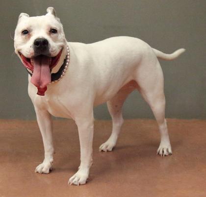 Rosie — thumbnail 4