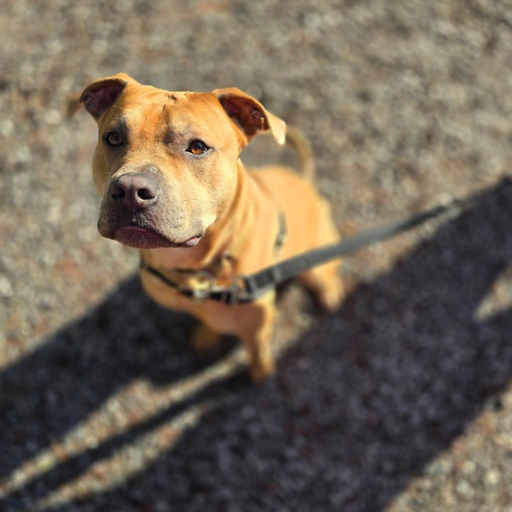 Lemmy — thumbnail 4