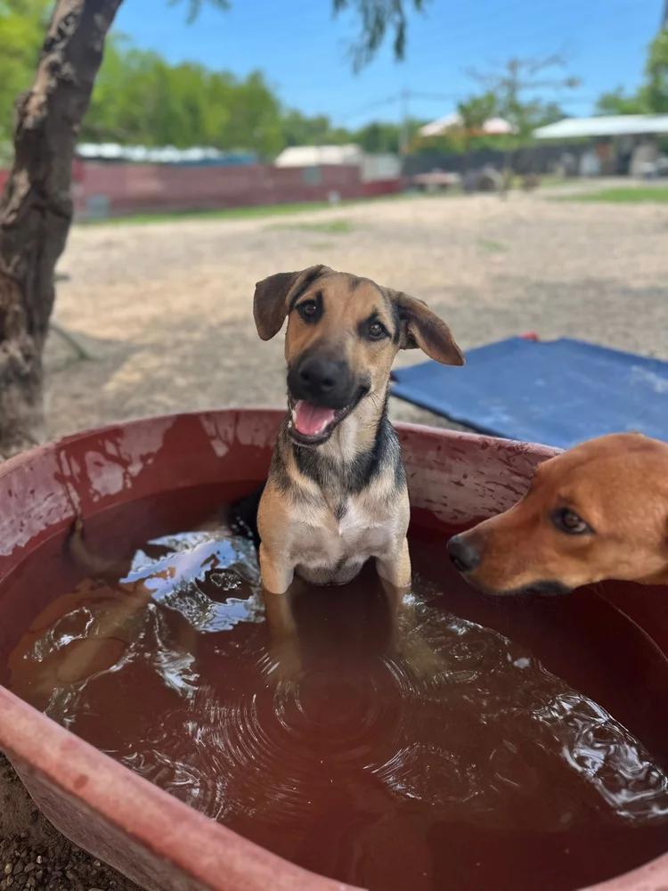 Alice — thumbnail 5