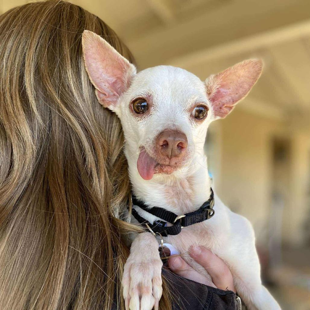 Pablo — thumbnail 3