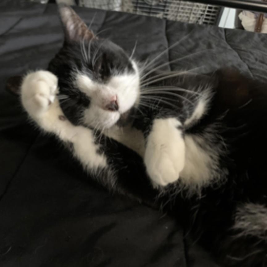 Peanut in Colorado — thumbnail 5