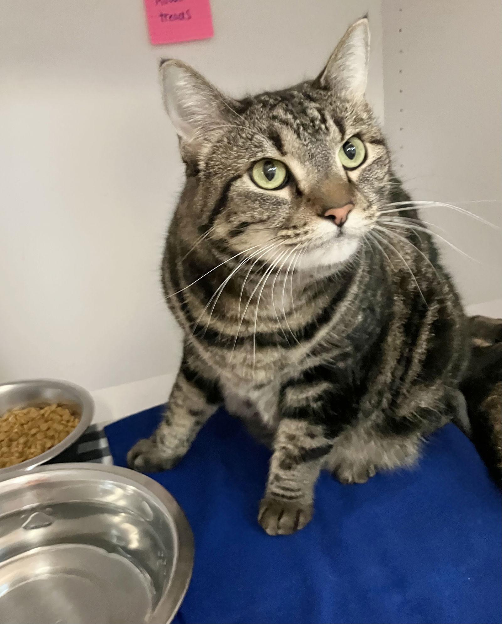 Alita  Kbc thumbnail 2