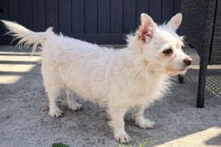 Fred — thumbnail 3