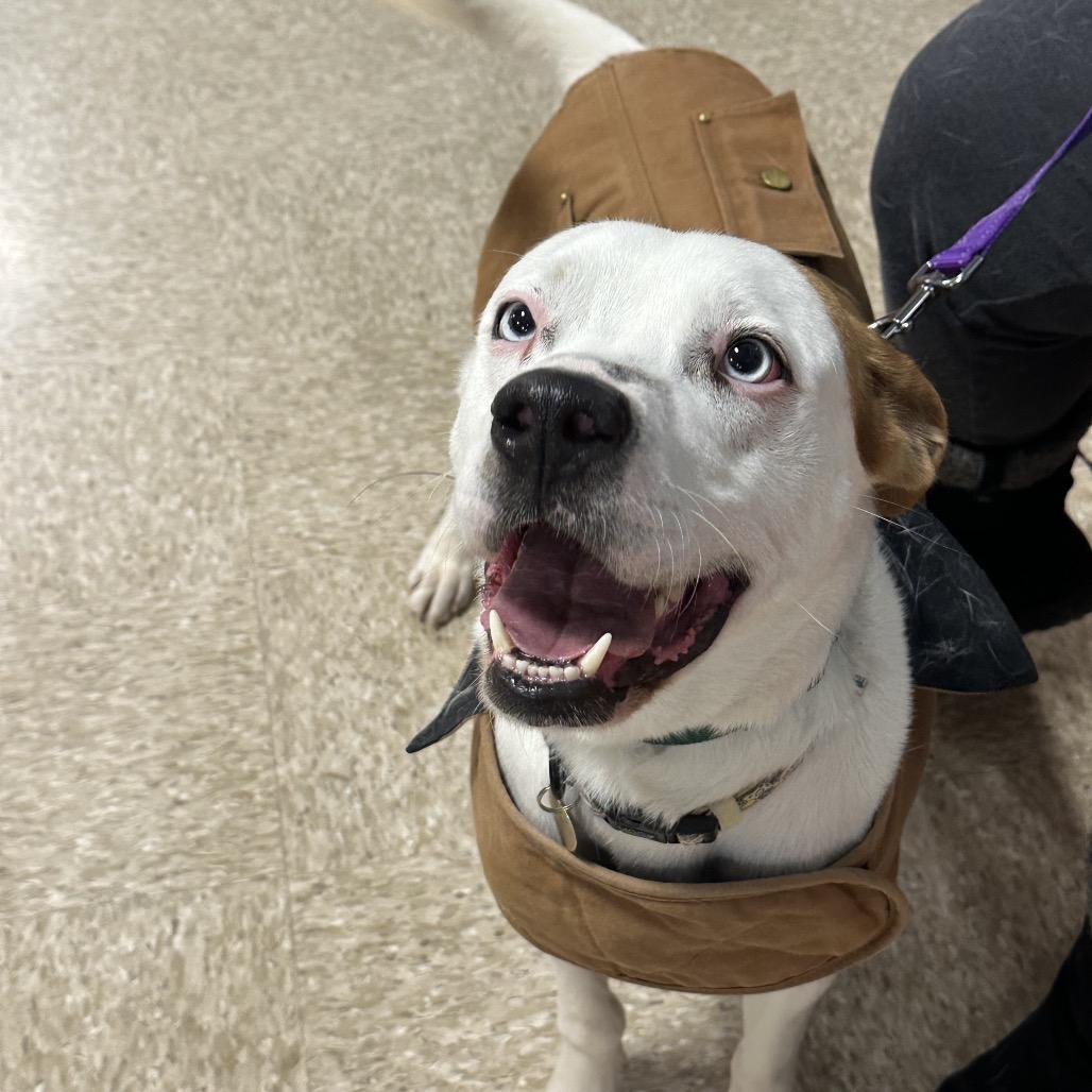 Paul G — thumbnail 2