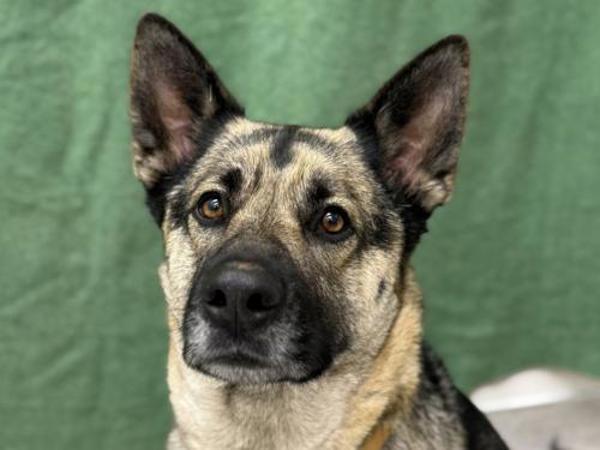 Jenna — thumbnail 2