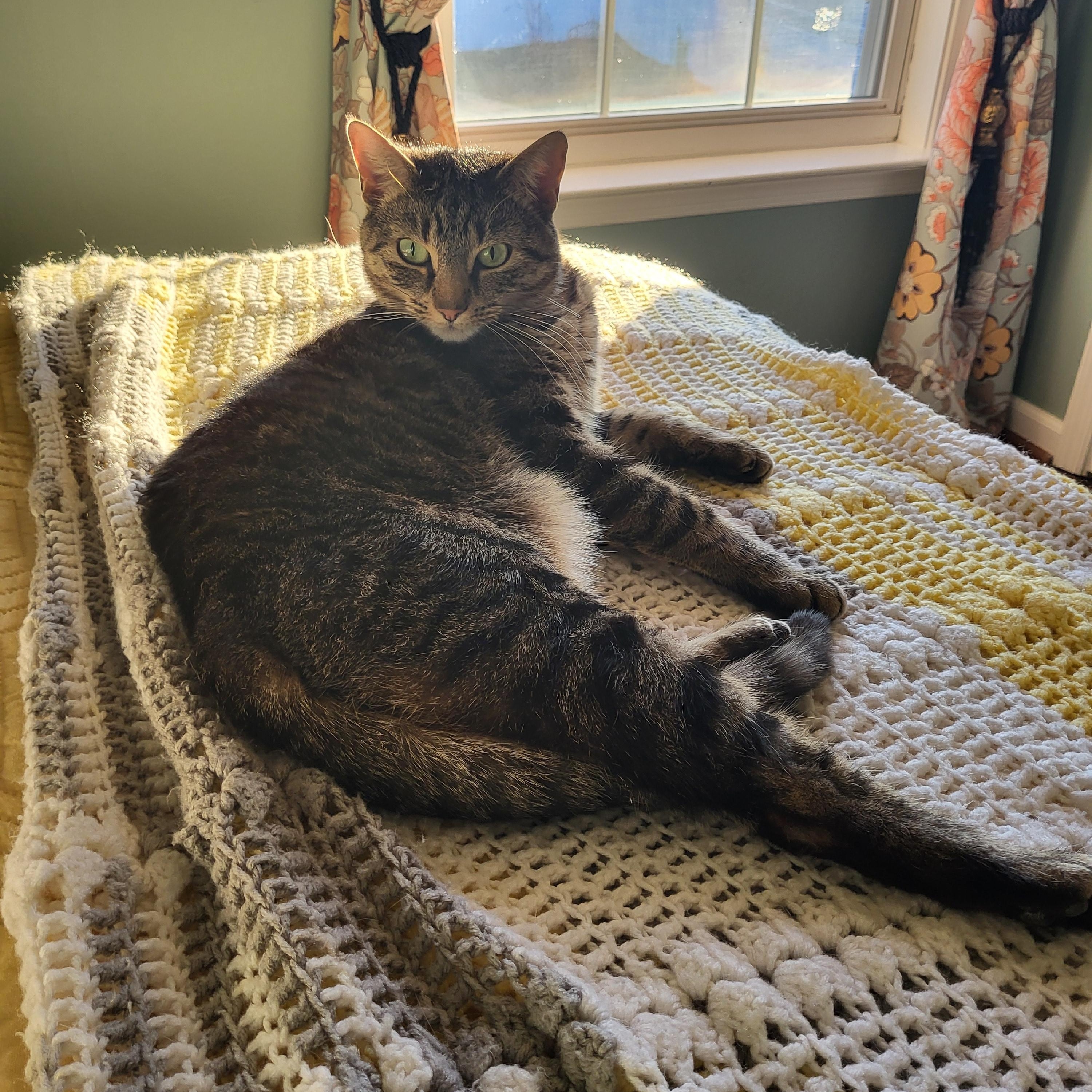 Sally~ Courtesy Post