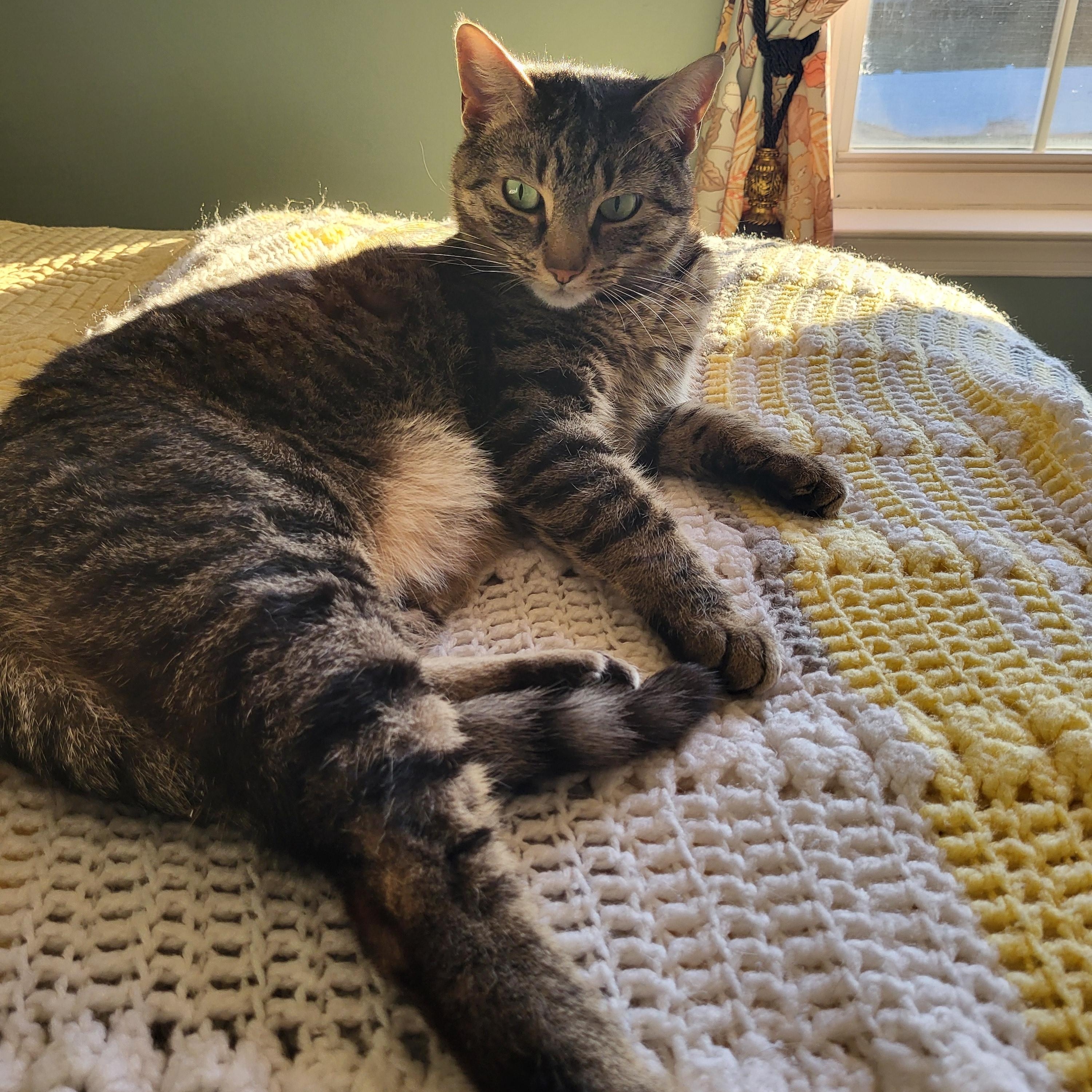 Sally~ Courtesy Post