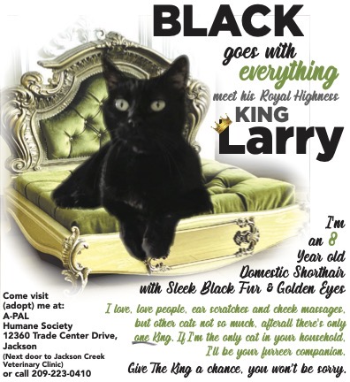 Larry
