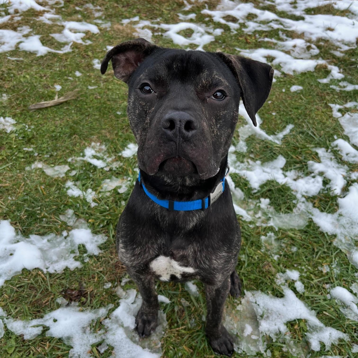 Creek  Prison Training