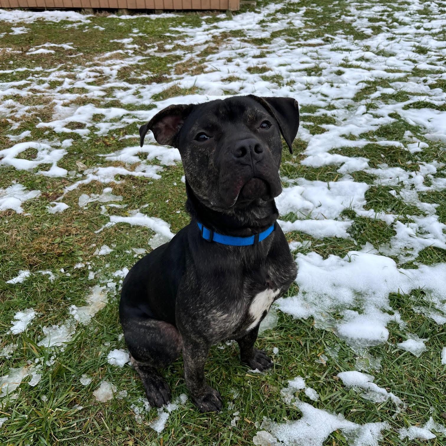 Creek  Prison Training thumbnail 3