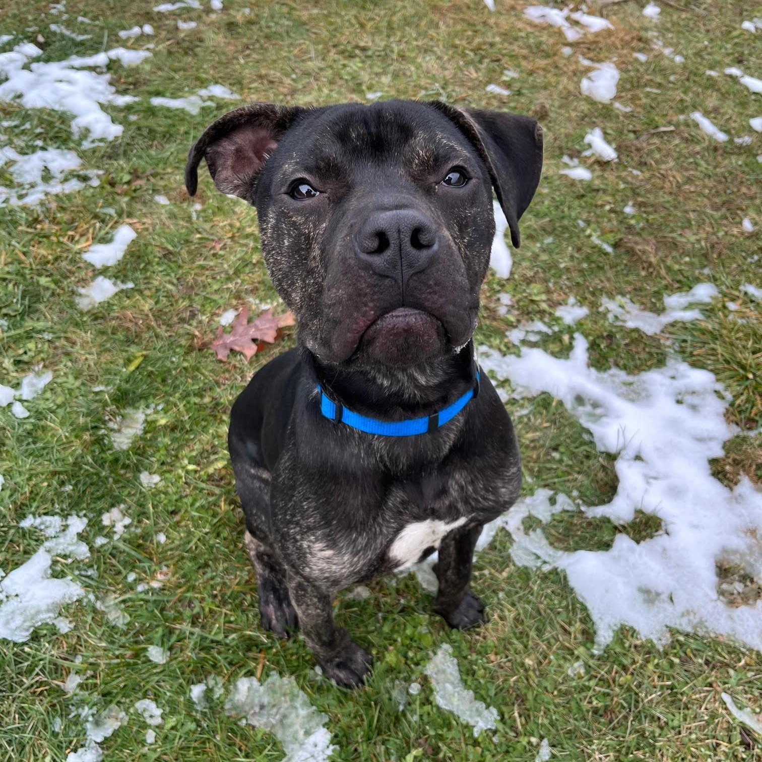 Creek  Prison Training thumbnail 4