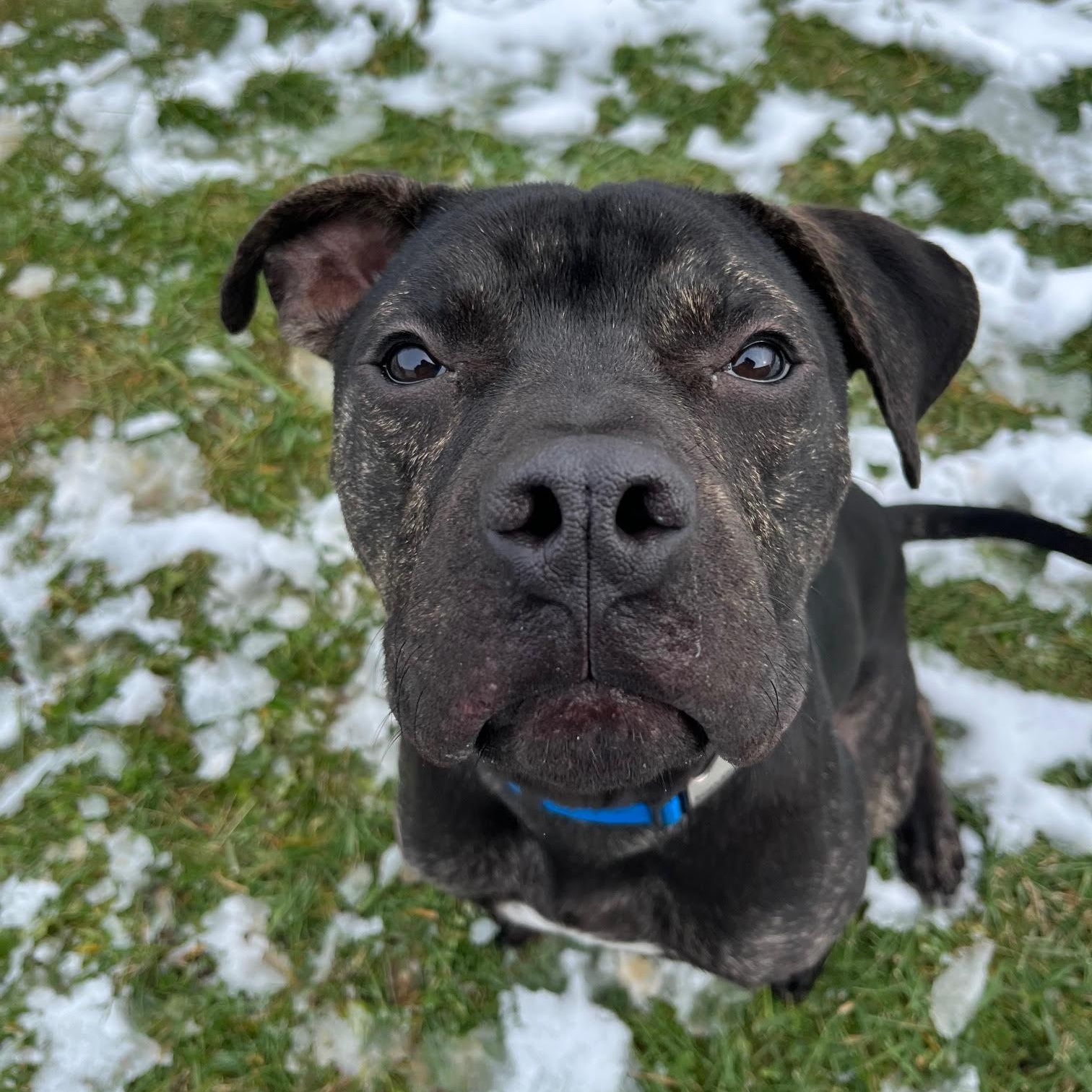 Creek  Prison Training thumbnail 5