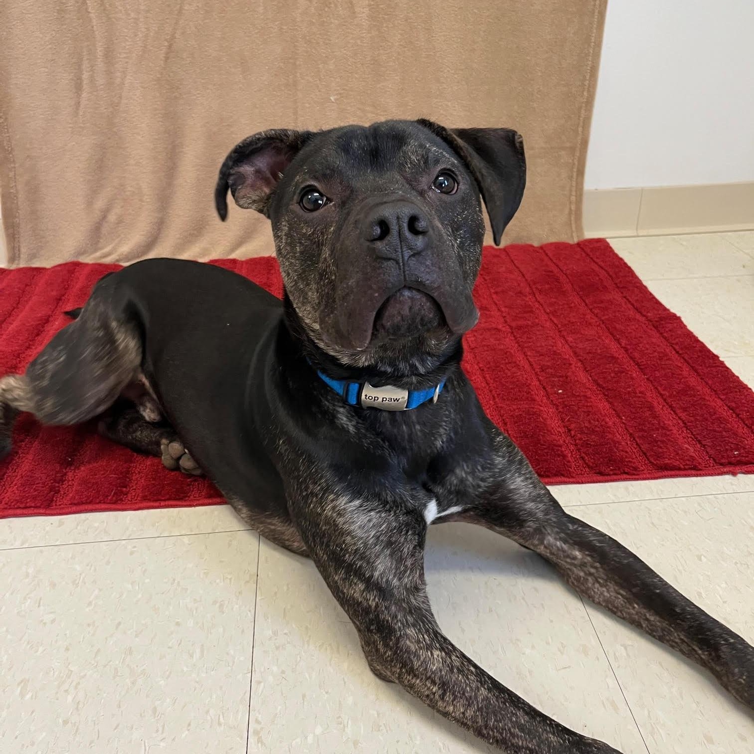 Creek  Prison Training thumbnail 6