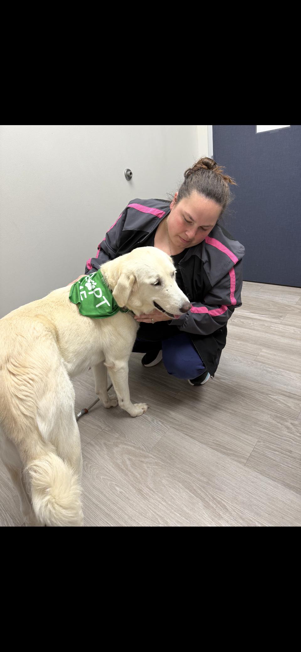 Enlarge Zella HTX, a Adoptable Great Pyrenees in Quinlan, TX image 6/6