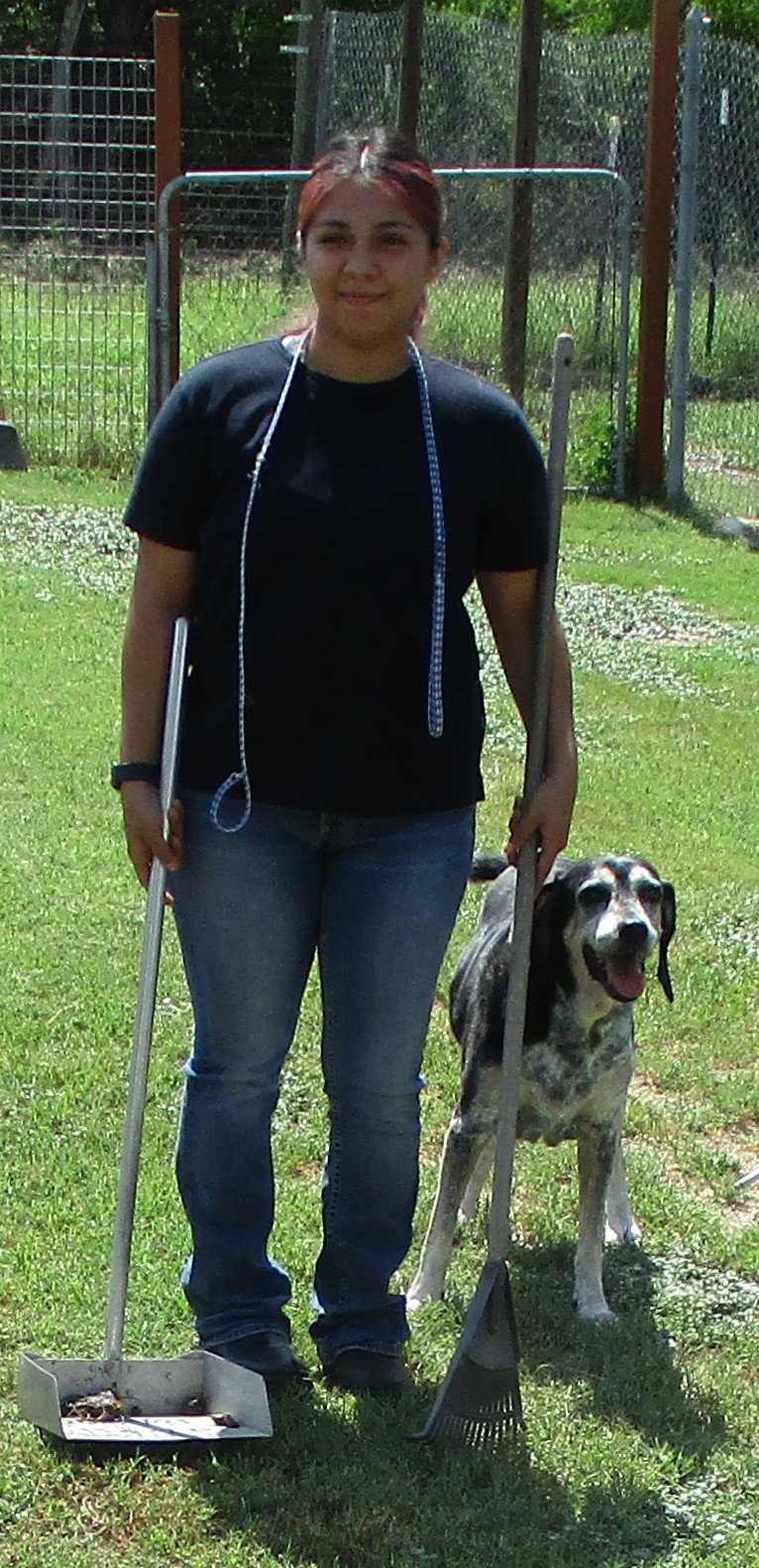 Carmelita, a Adoptable Bluetick Coonhound in Seguin, TX image 4/4