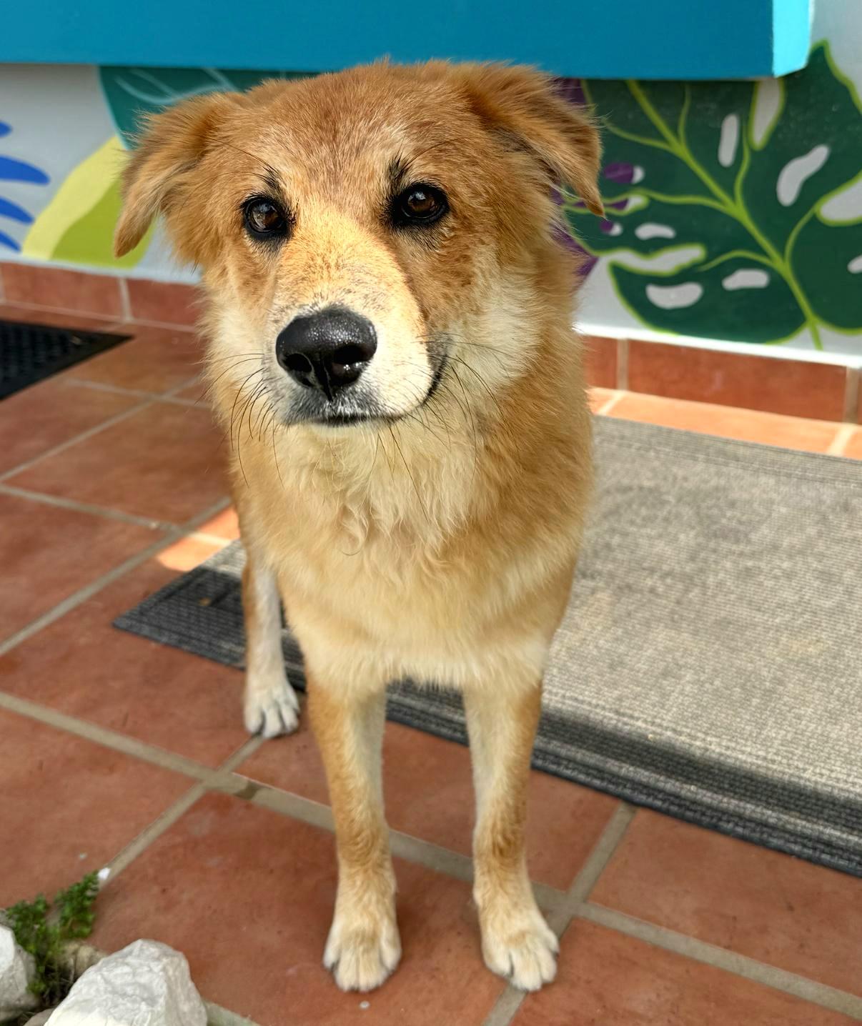 Bacon Baxter "friendly & thumbnail 3