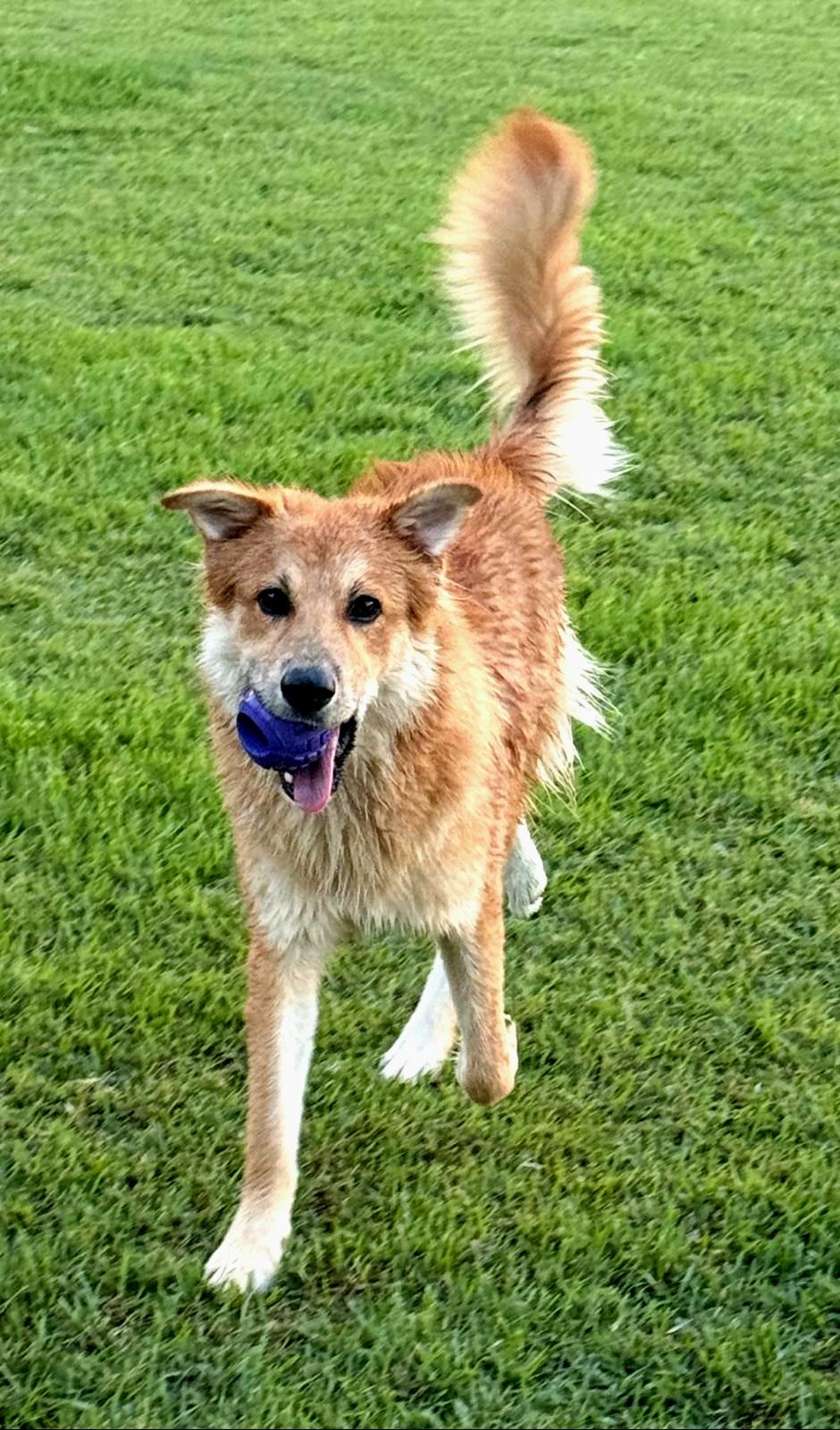 Bacon Baxter "friendly & thumbnail 4