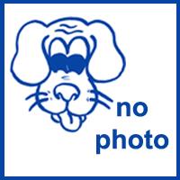 Enlarge Thomas, a Adoptable mixed breed in Hinesville, GA image 1/2