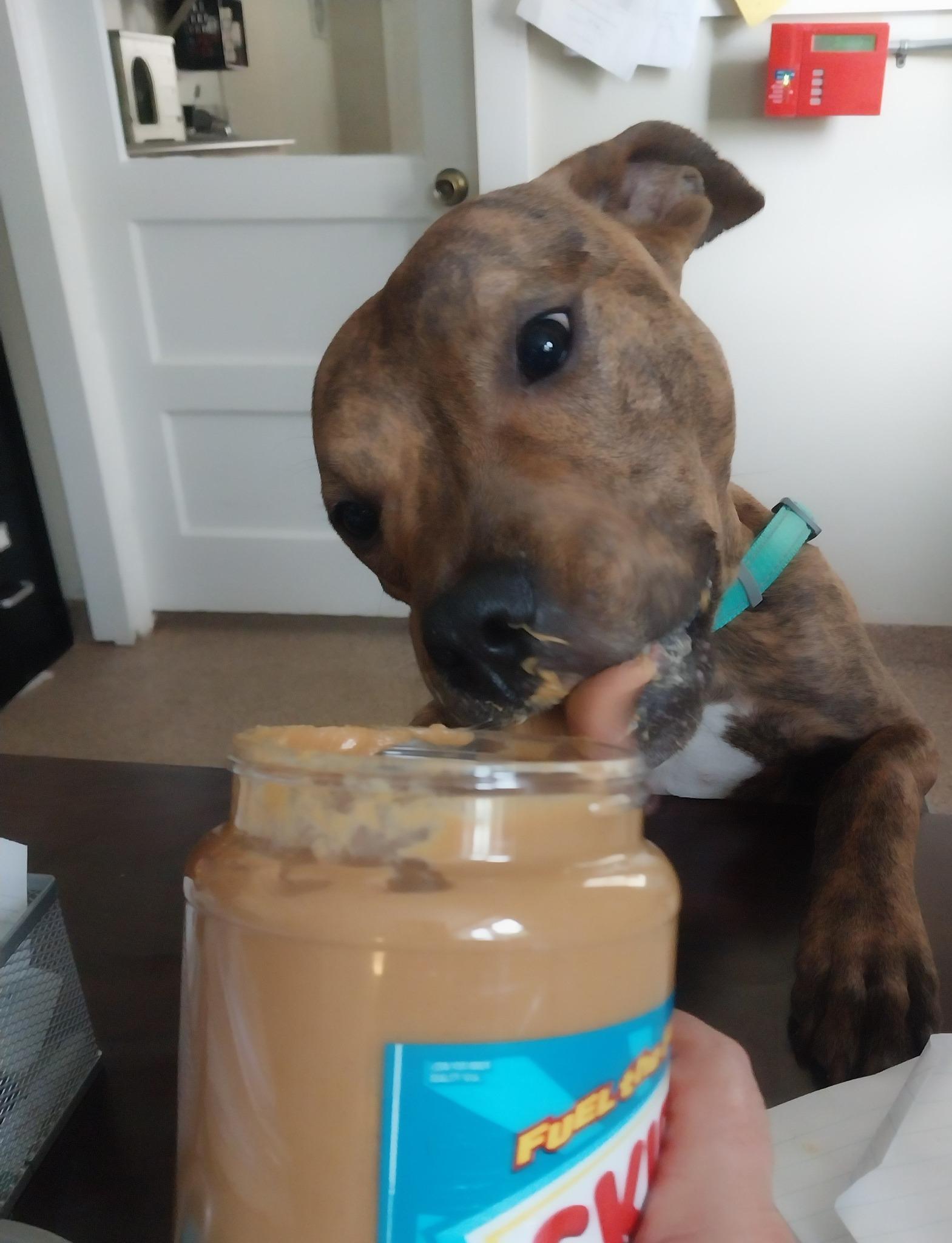 Peanut 2