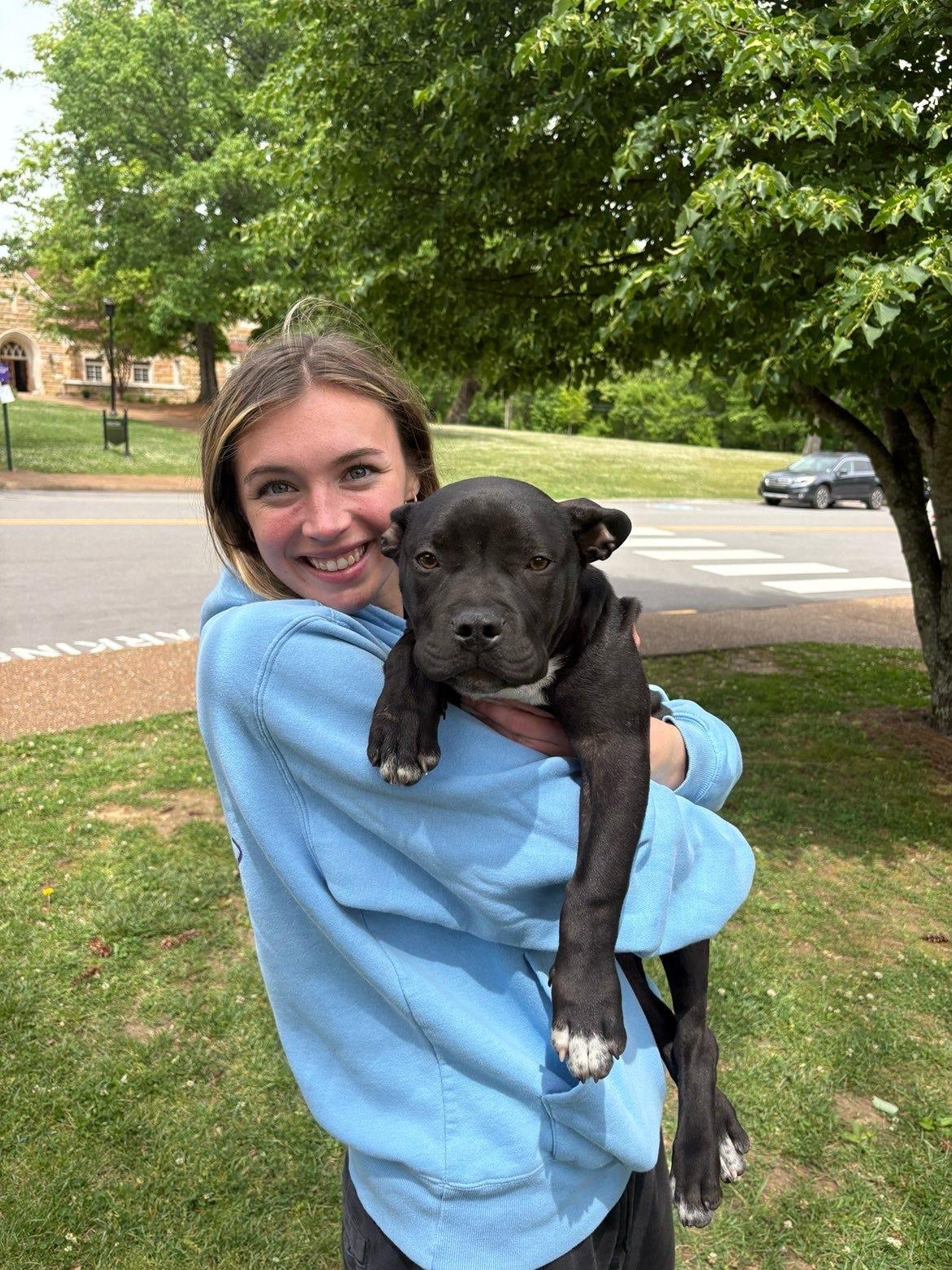 Enlarge Yeti, an adopted mixed breed in Tracy City , TN image 1/3
