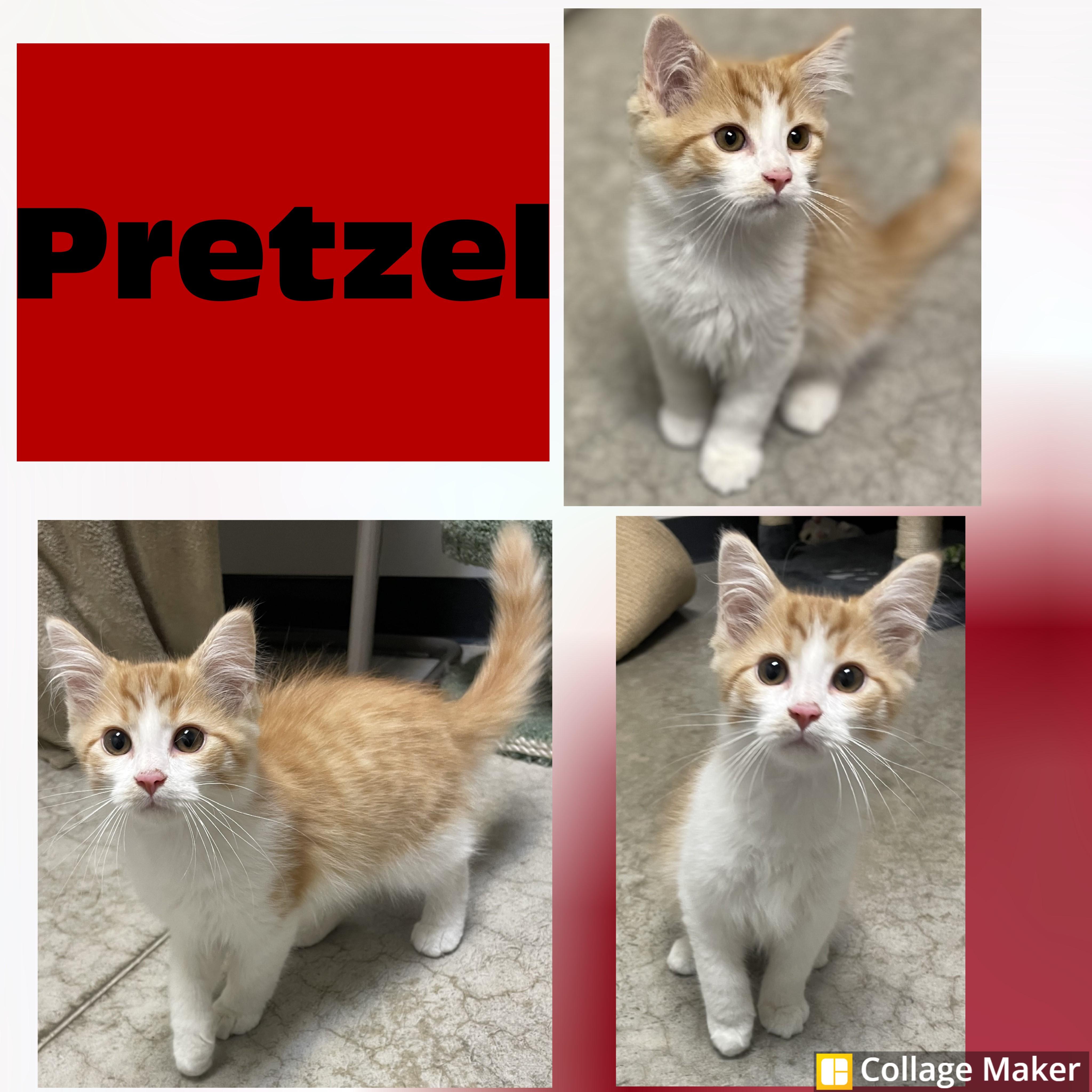 Pretzel
