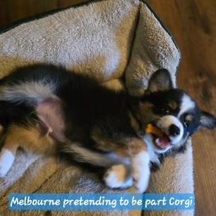 Melbourne thumbnail 3