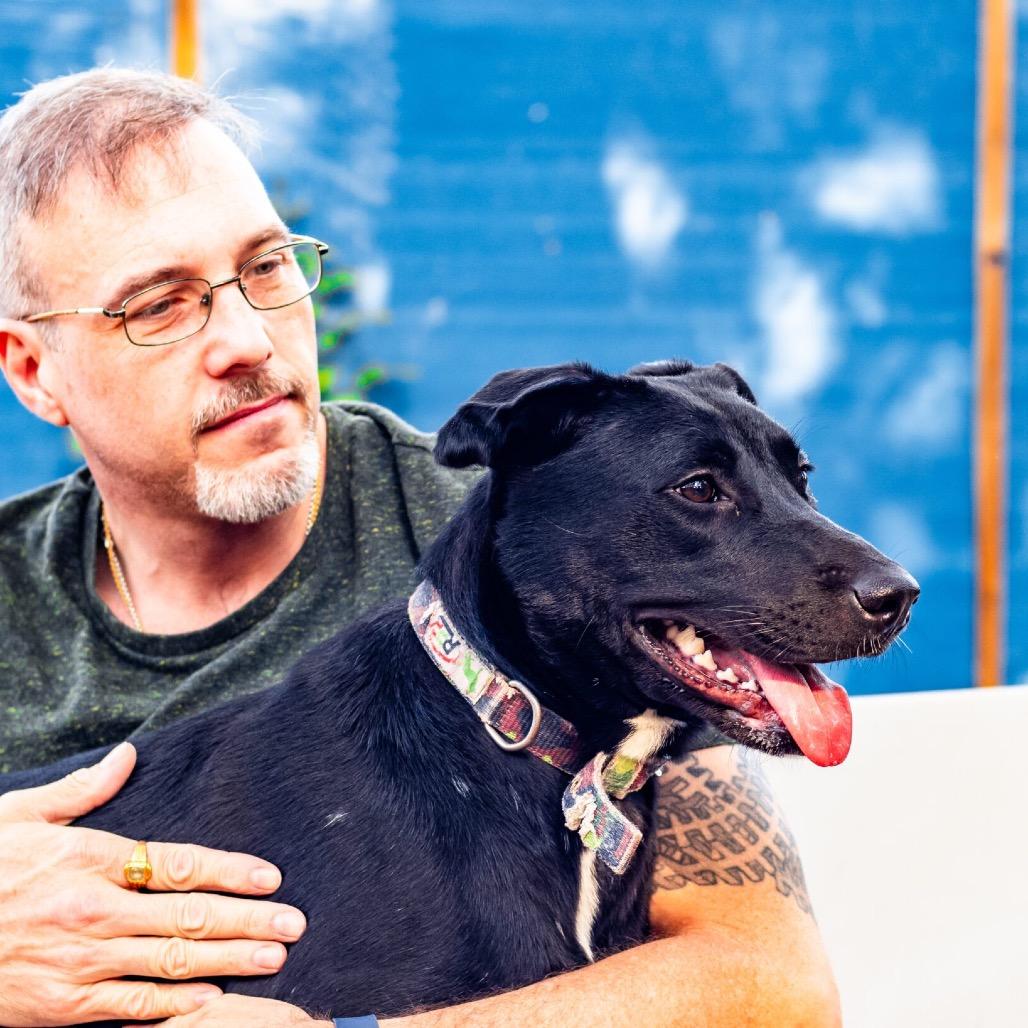 Enlarge Curie, a Adoptable Mixed Breed in Colorado Springs, CO image 5/5