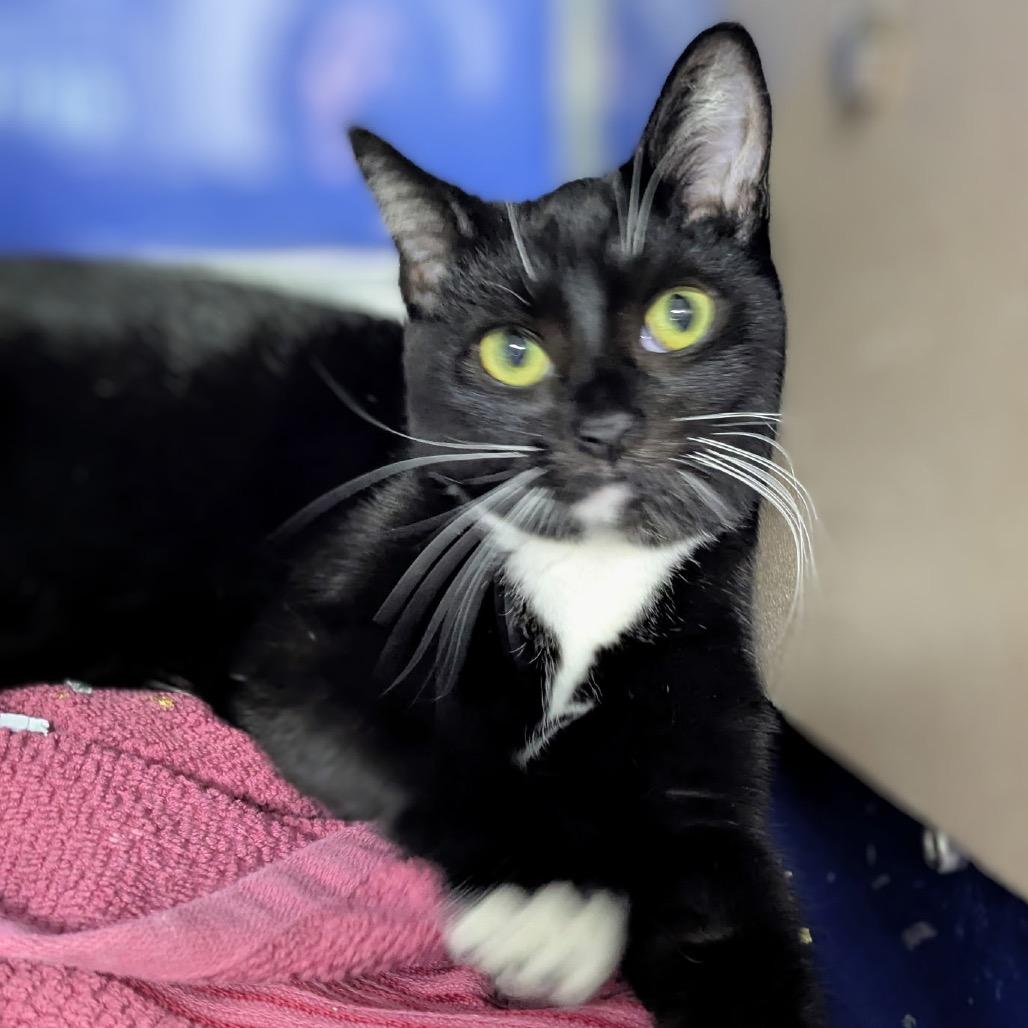 Slurpee — thumbnail 2