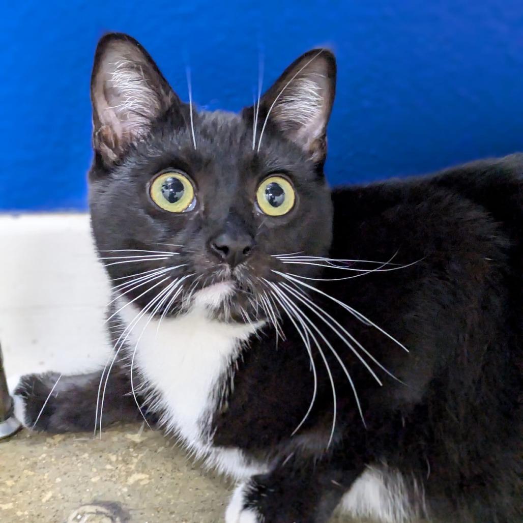 Slurpee — thumbnail 3