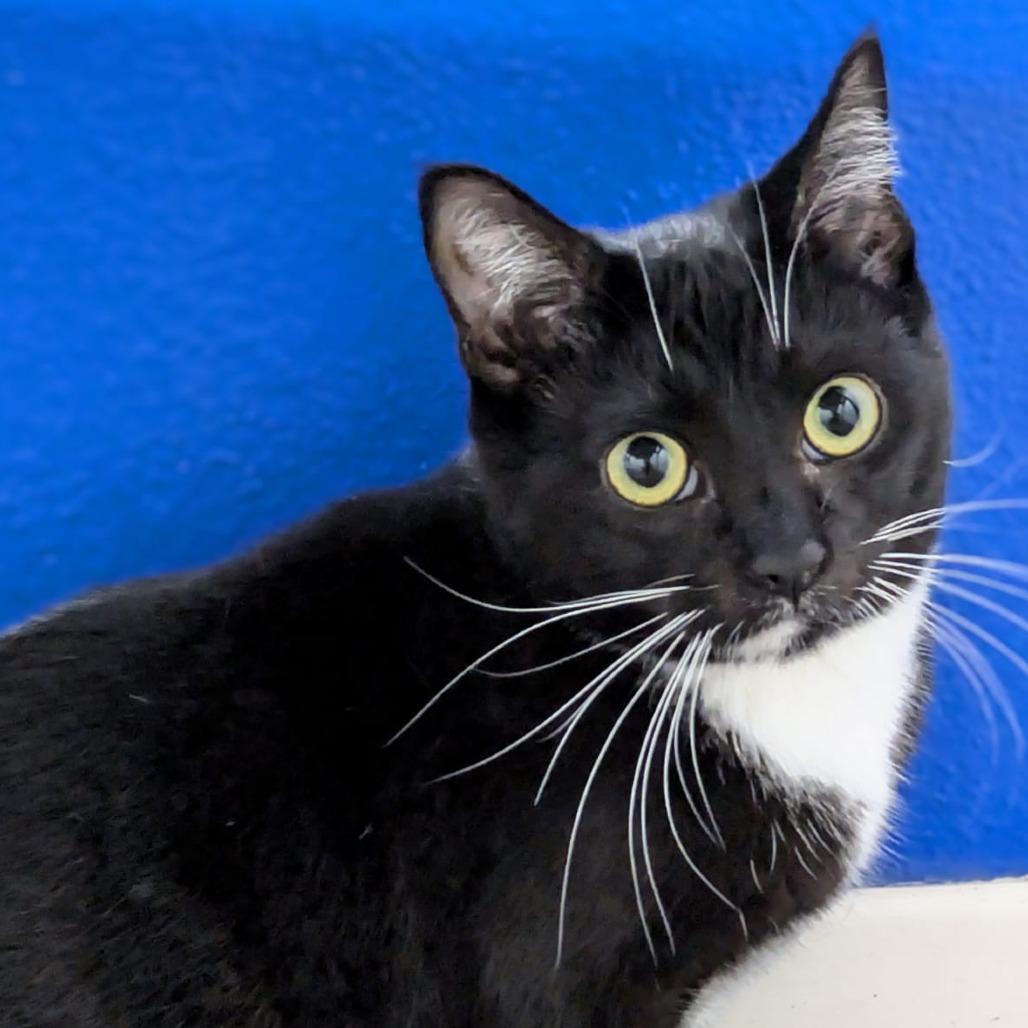 Slurpee — thumbnail 4