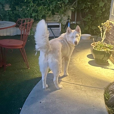 BONNIE BELLE (Blind) photo 4