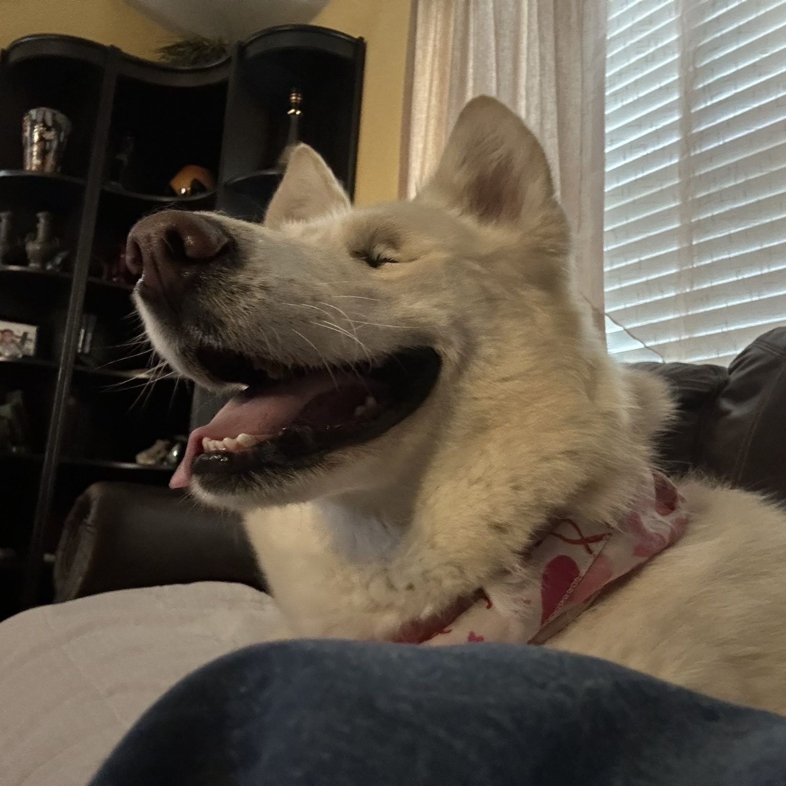 BONNIE BELLE (Blind) photo 3