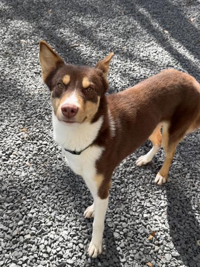 Mono — thumbnail 2