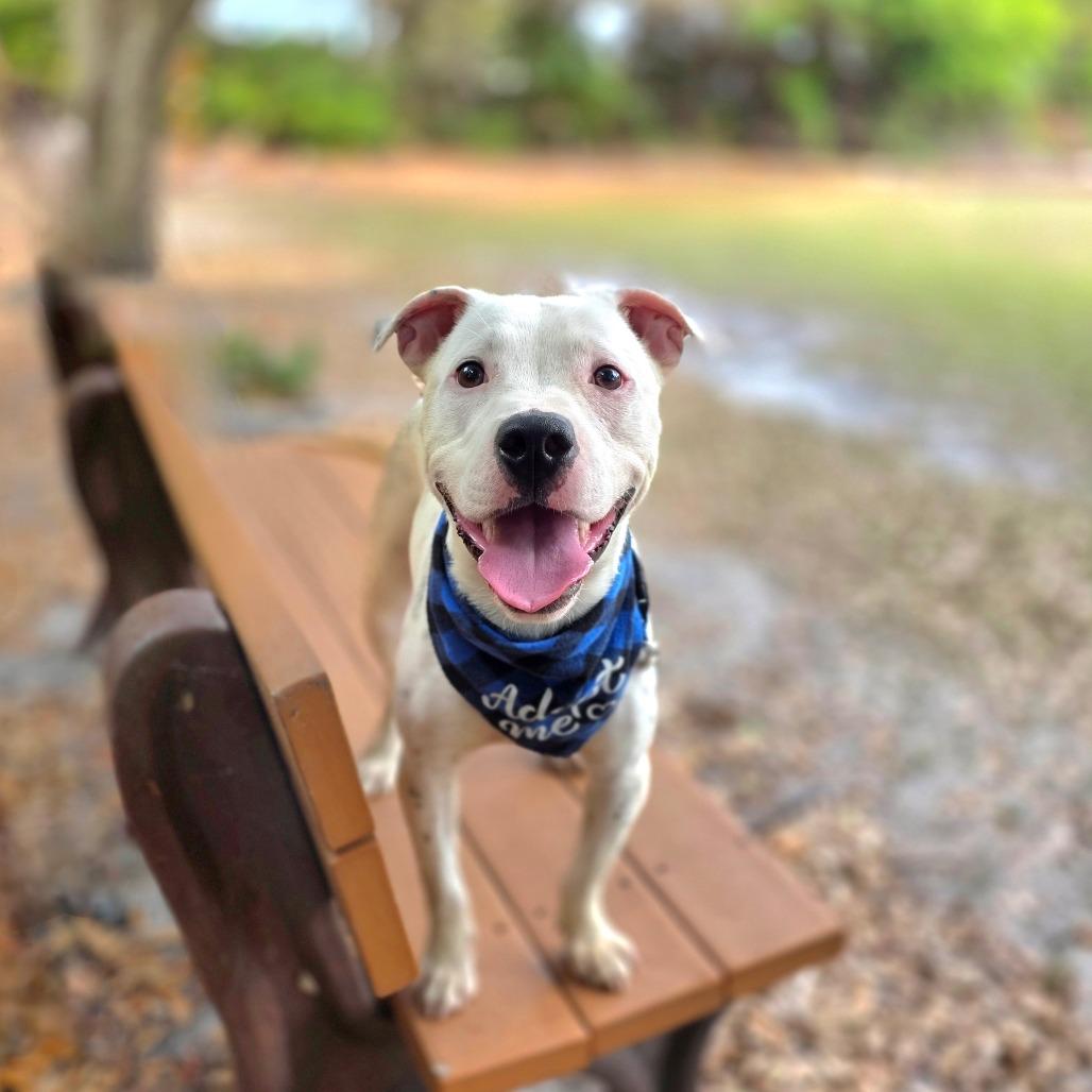 Murphy — thumbnail 2