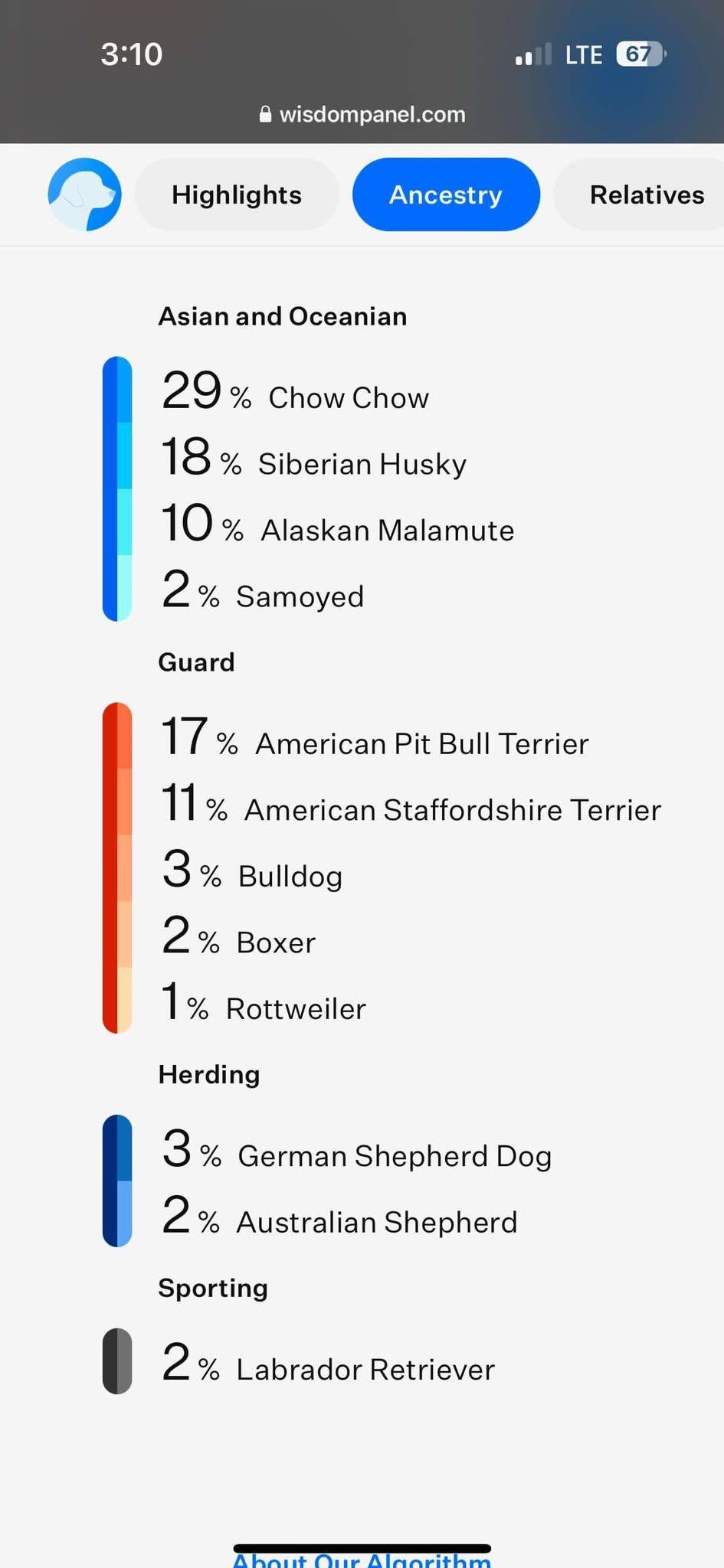 Frankie, a Adoptable mixed breed in Oklahoma City, OK image 5/6