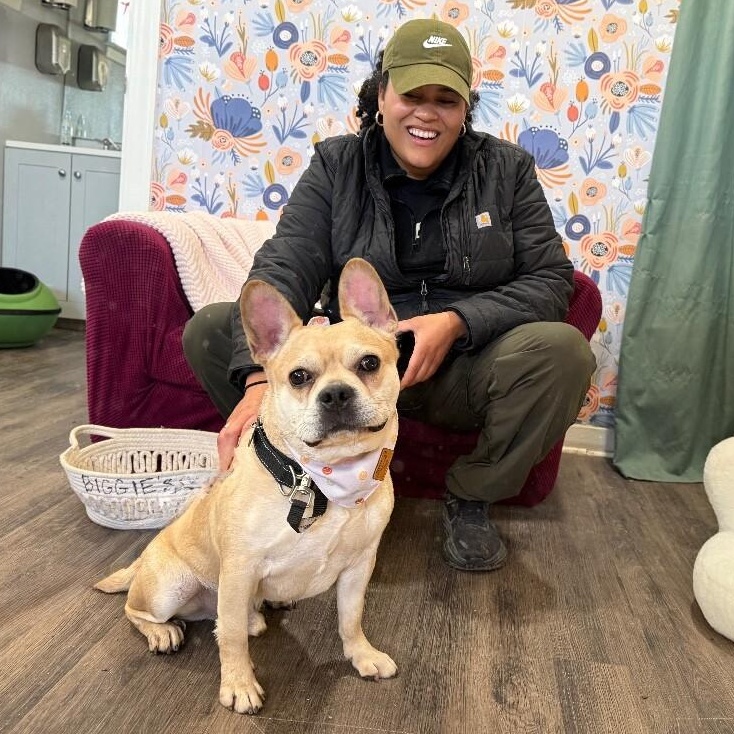 Pikachu Spark — thumbnail 3