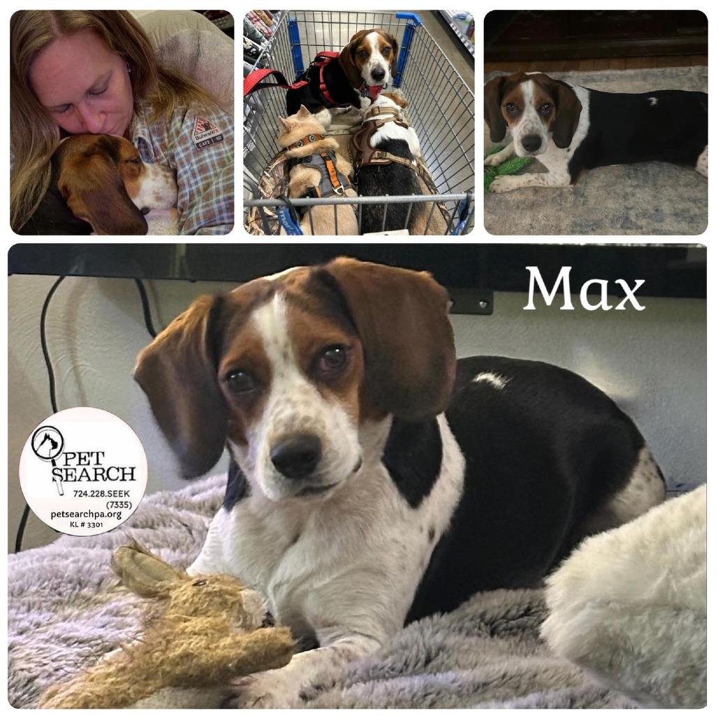 Max photo