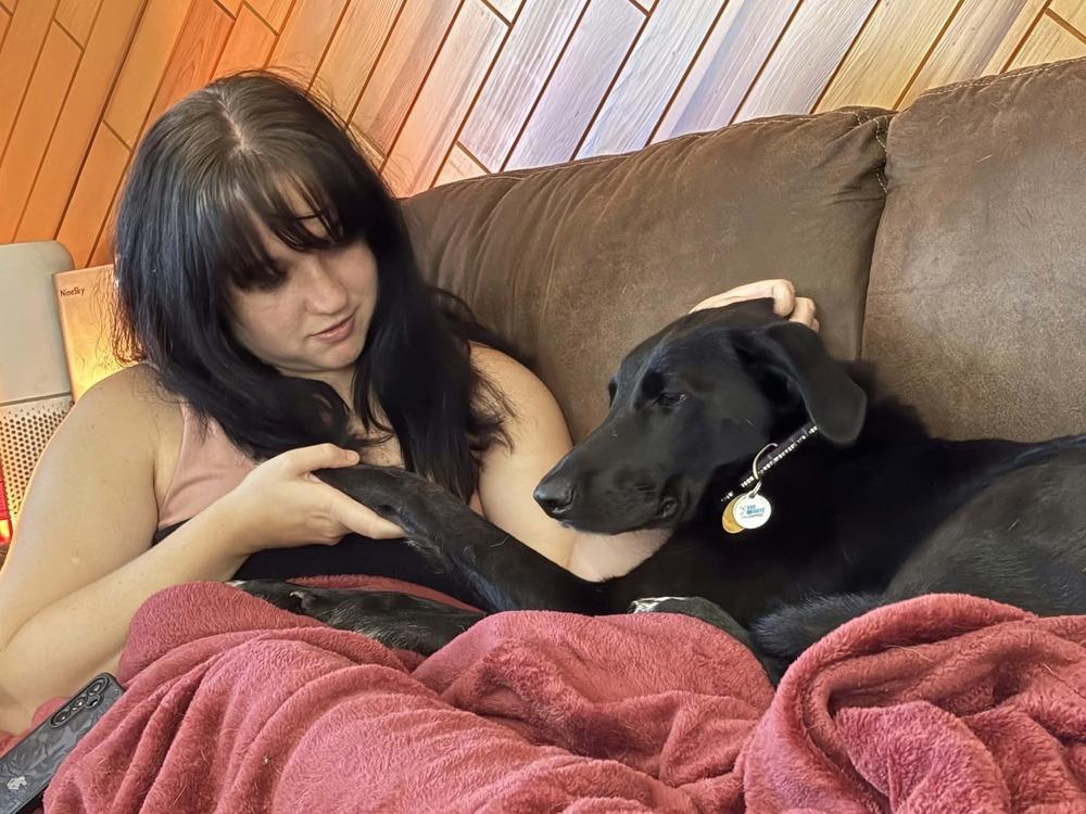 Onyx, Adoptable, Young Male Labrador Retriever & Mountain Cur.