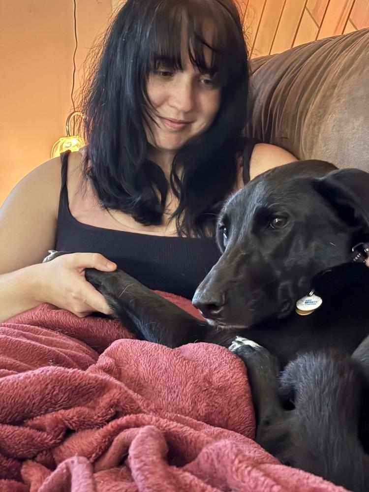 Onyx, a Adoptable mixed breed in Willingboro, NJ image 2/6