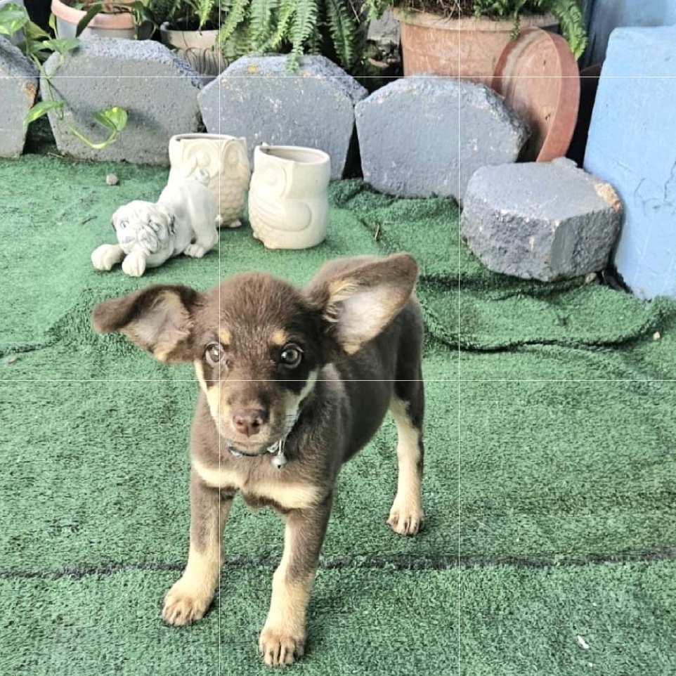 Zasha "love Is Me." thumbnail 2