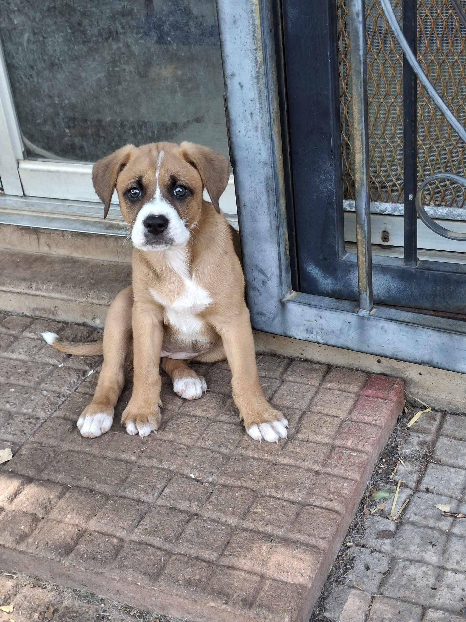 Minnie
