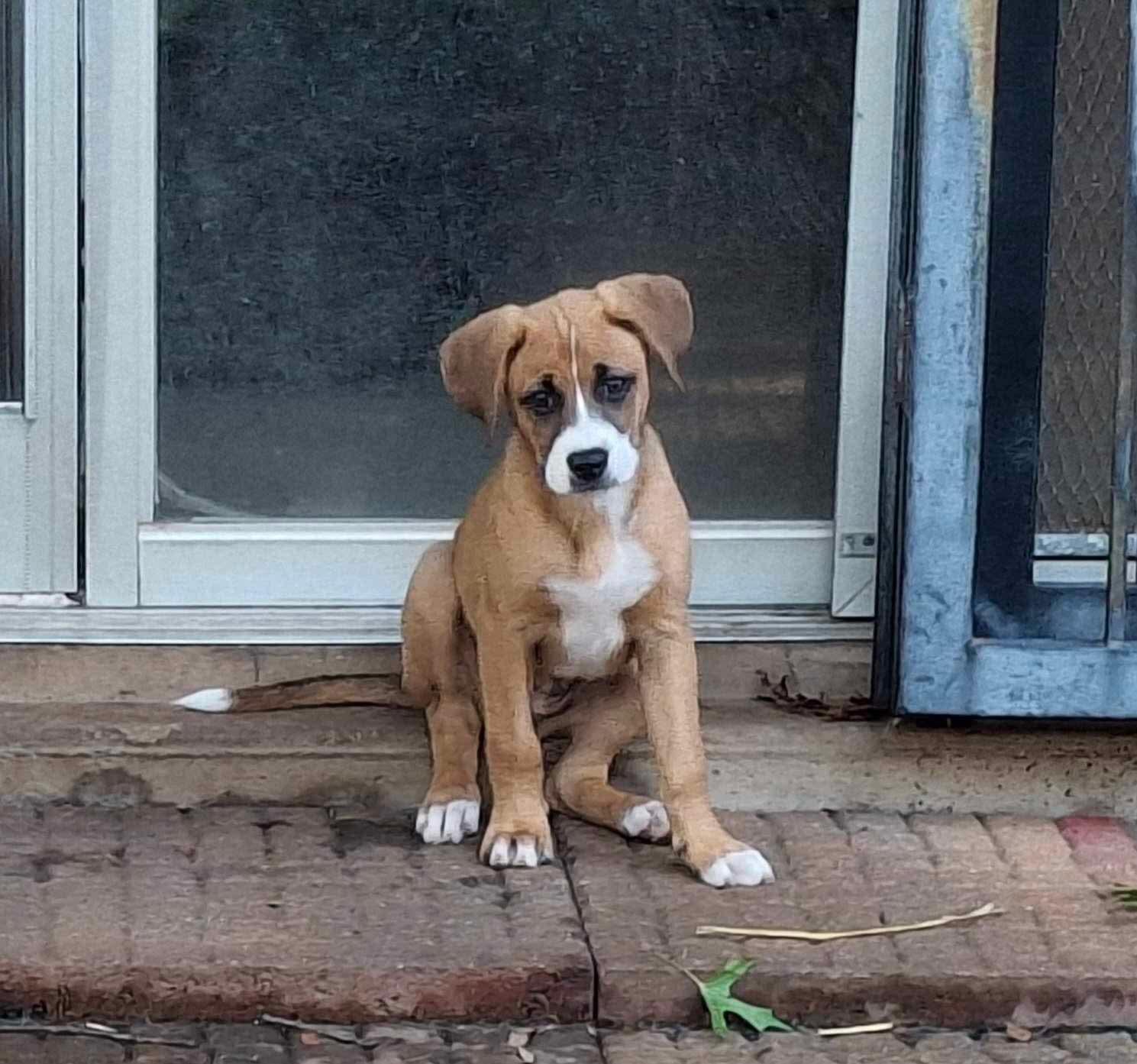 Minnie