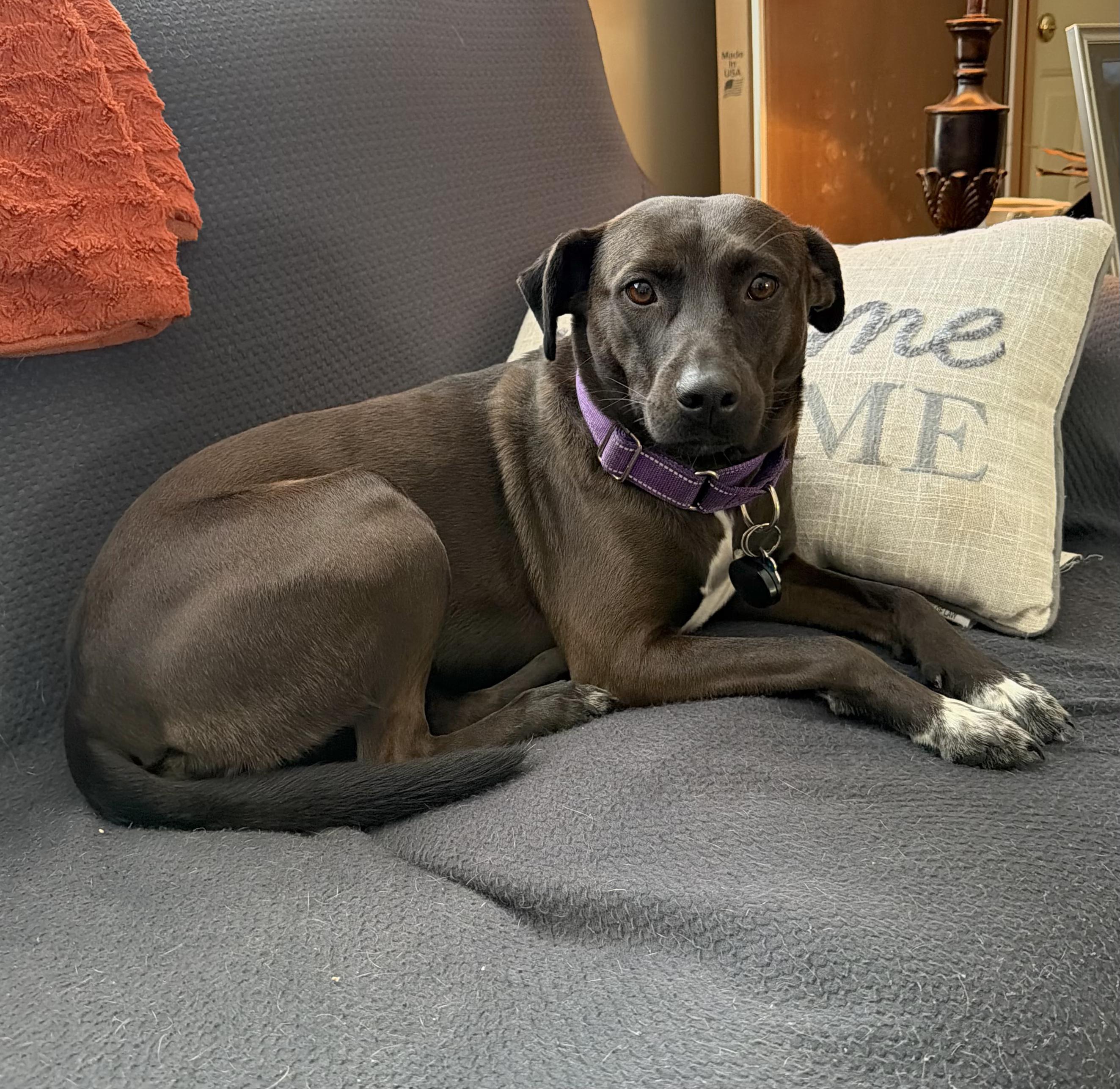 Little Star — thumbnail 4