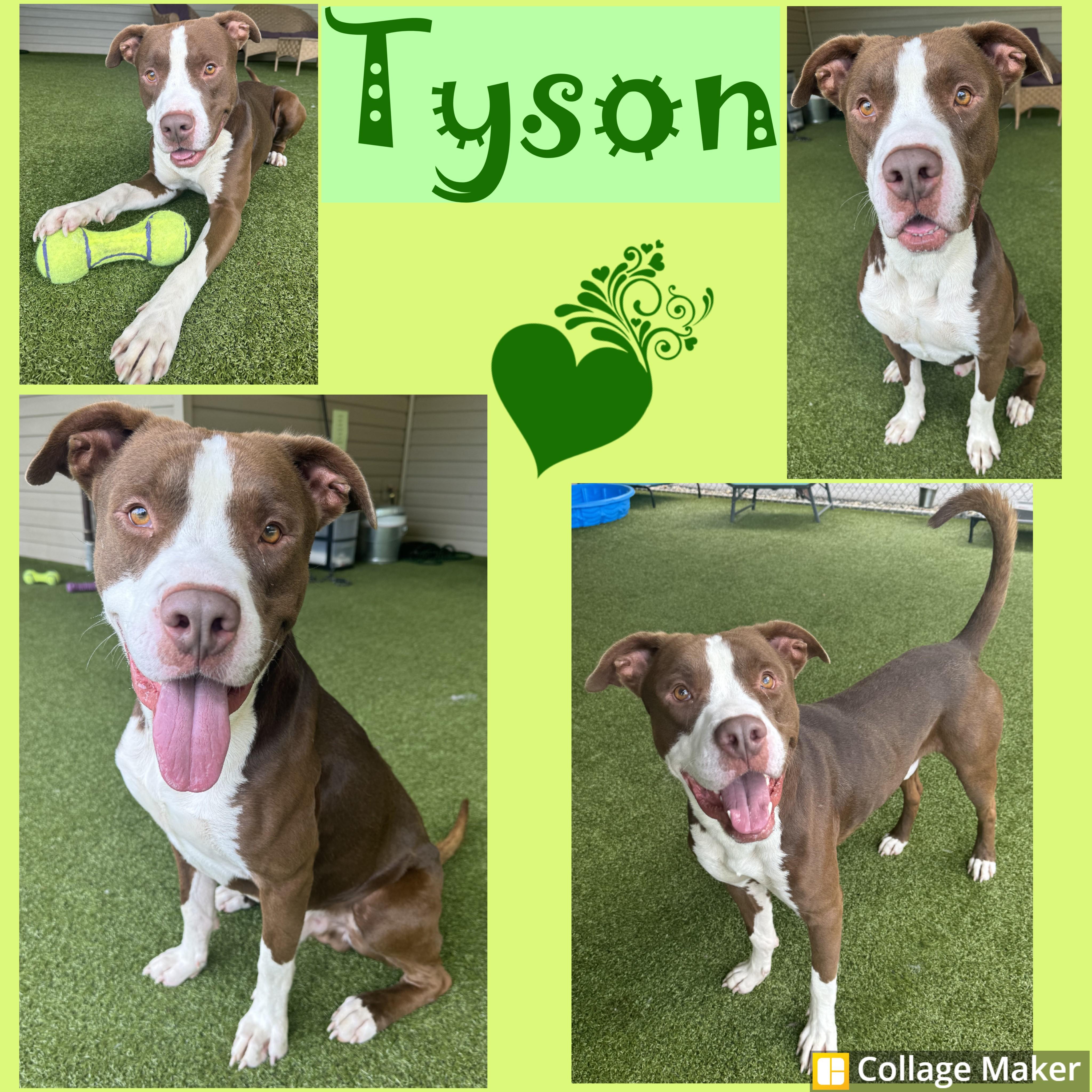 Tyson